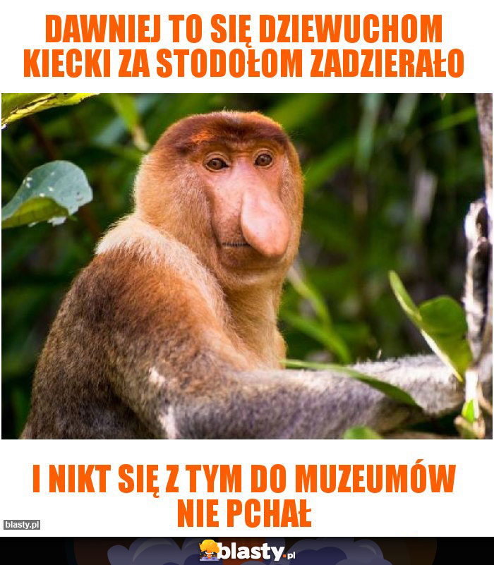 Dawniej to się dziewuchom kiecki za stodołom zadzierało
