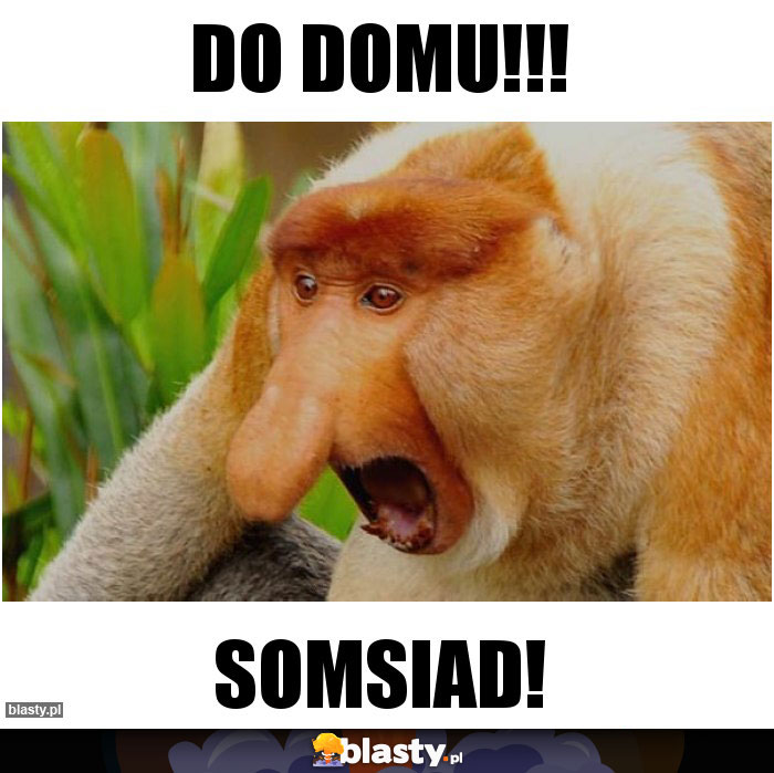 Do domu!!!