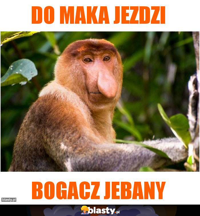 Do maka jezdzi