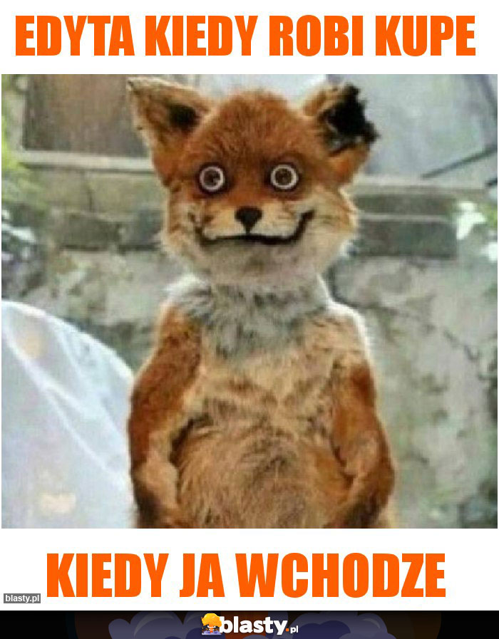 Edyta kiedy robi kupe