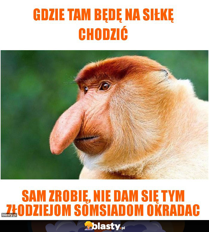 Gdzie tam będę na siłkę chodzić