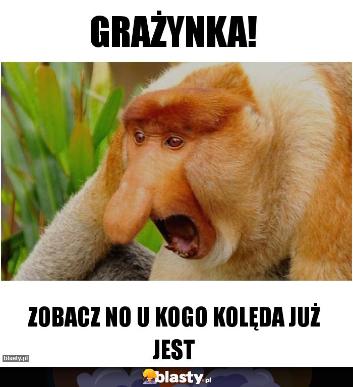 Grażynka!