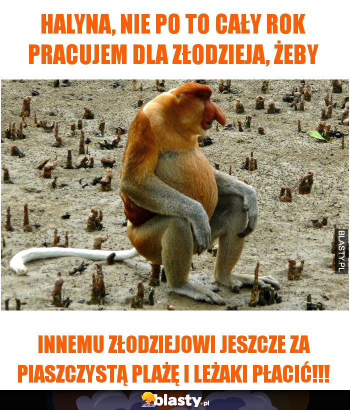 Halyna, nie po to cały rok pracujem dla złodzieja, żeby