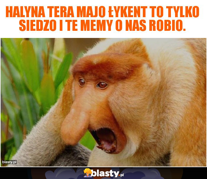 Halyna tera majo łykent to tylko siedzo i te memy o nas robio.