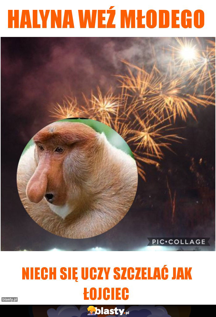 Halyna weź młodego