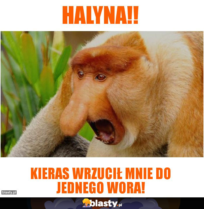 Halyna!!