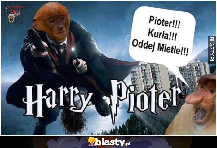 Harry Pioter
