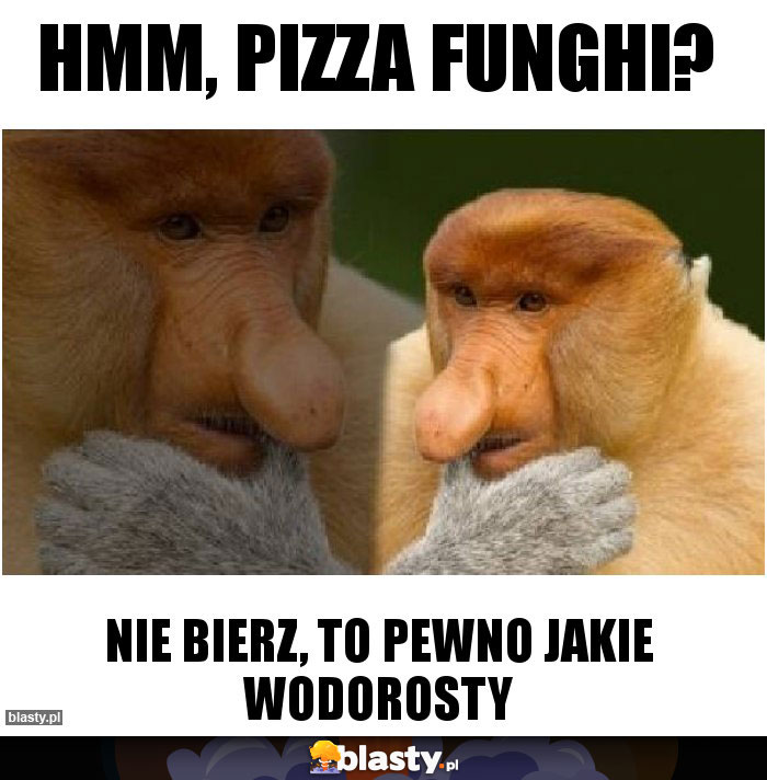 Hmm, Pizza Funghi?