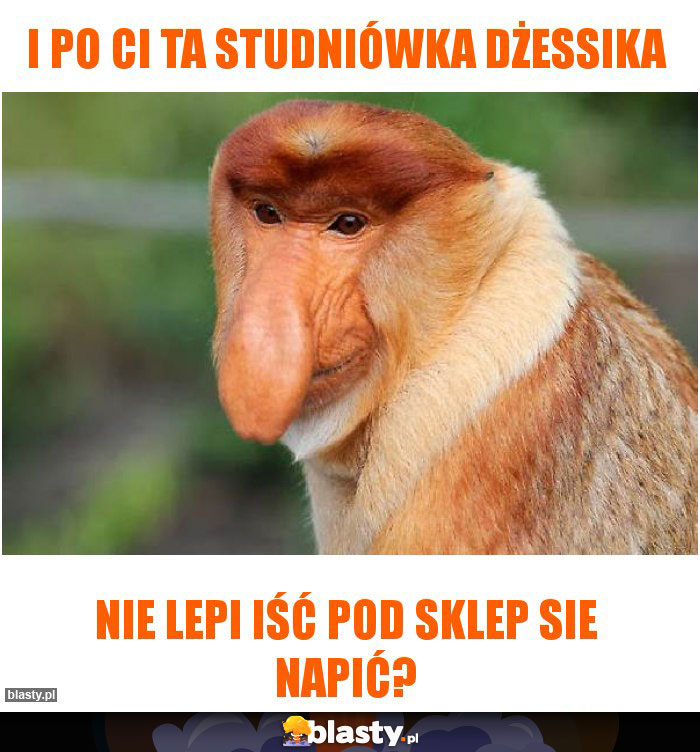 I po Ci ta Studniówka dŻessika