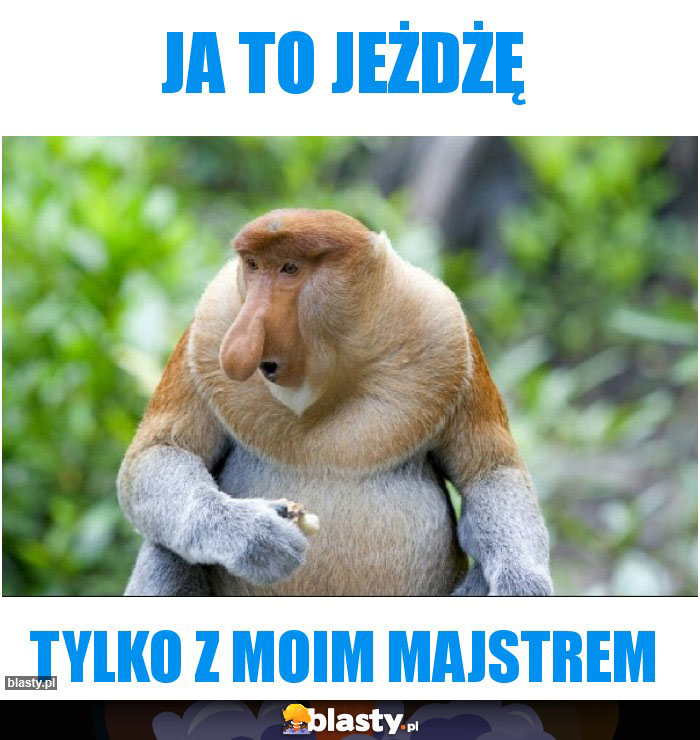 Ja to jeżdżę