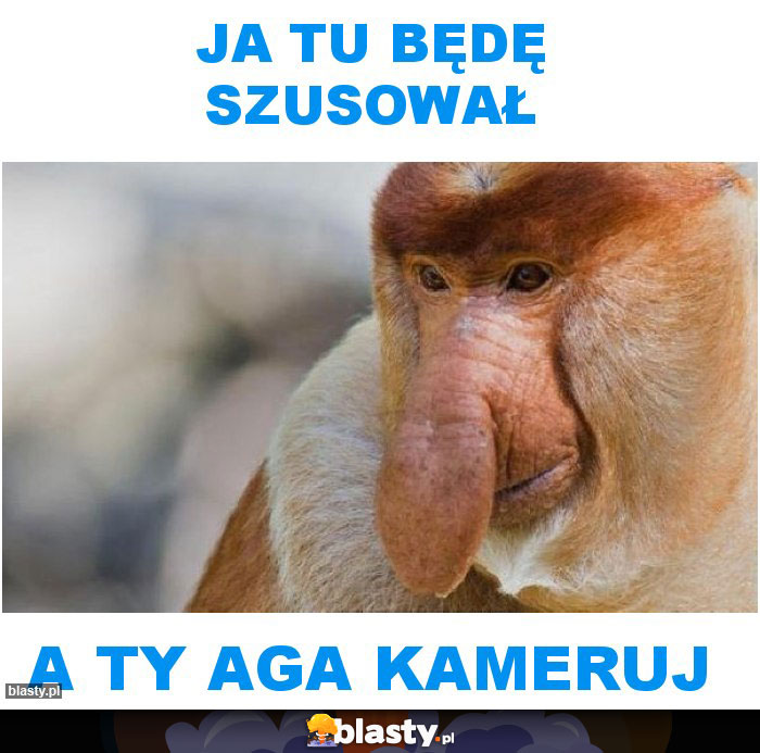 Ja tu będę szusował