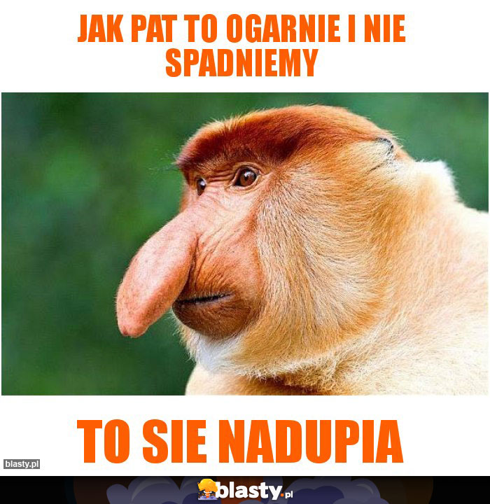 jak pat to ogarnie i nie spadniemy