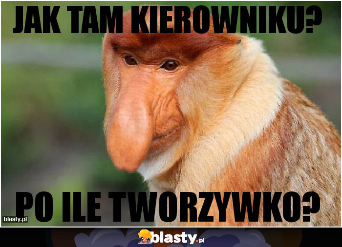 Jak tam kierowniku?