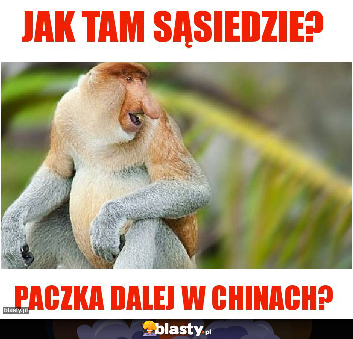 Jak tam sąsiedzie?