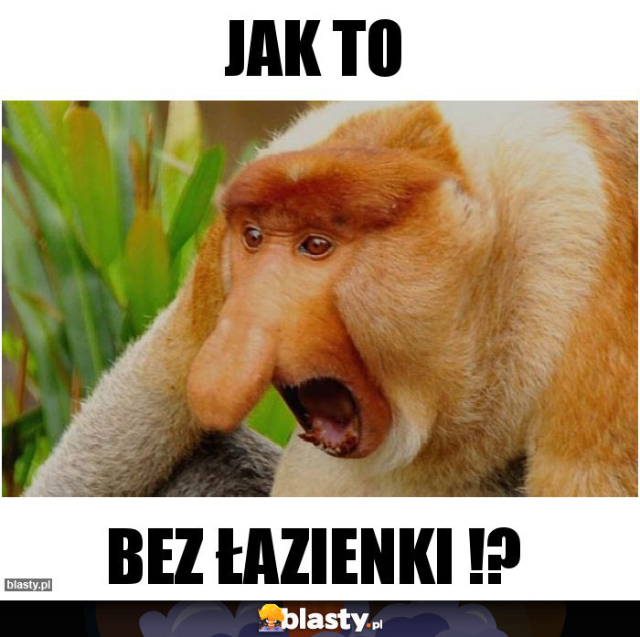 JAK TO