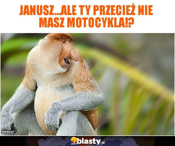 Janusz...ale Ty przecież nie masz motocykla!?