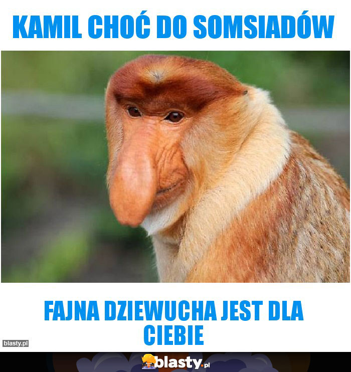 Kamil CHOĆ DO SOMSIADÓW