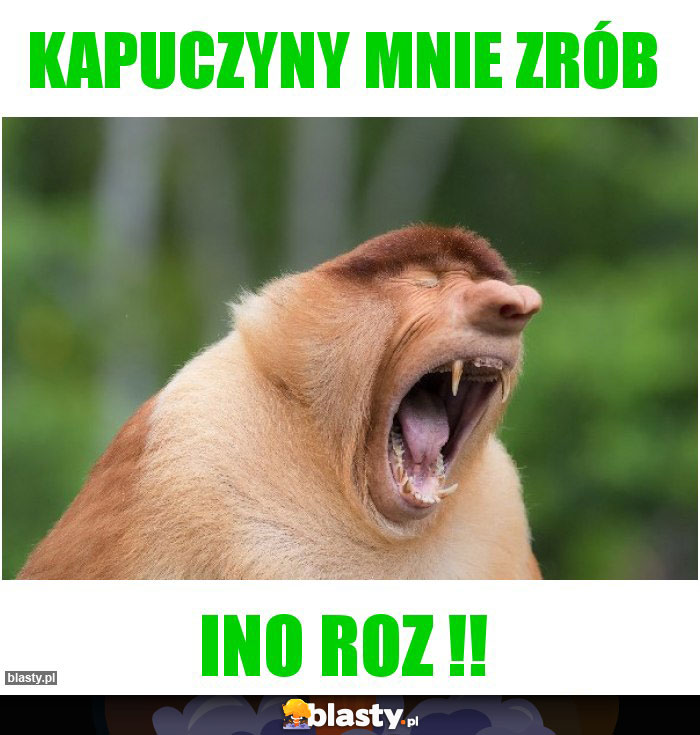 Kapuczyny mnie zrób