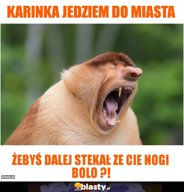 KARINKA JEDZIEM DO MIASTA