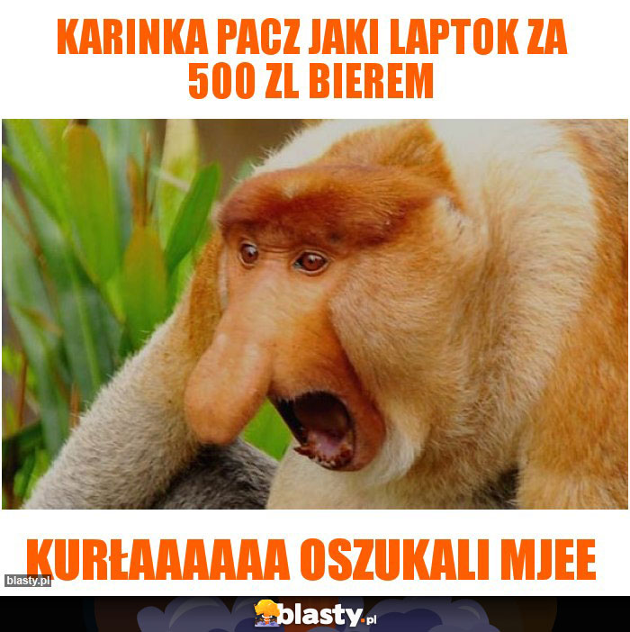 KARINKA PACZ JAKI LAPTOK ZA 500 ZL BIEREM