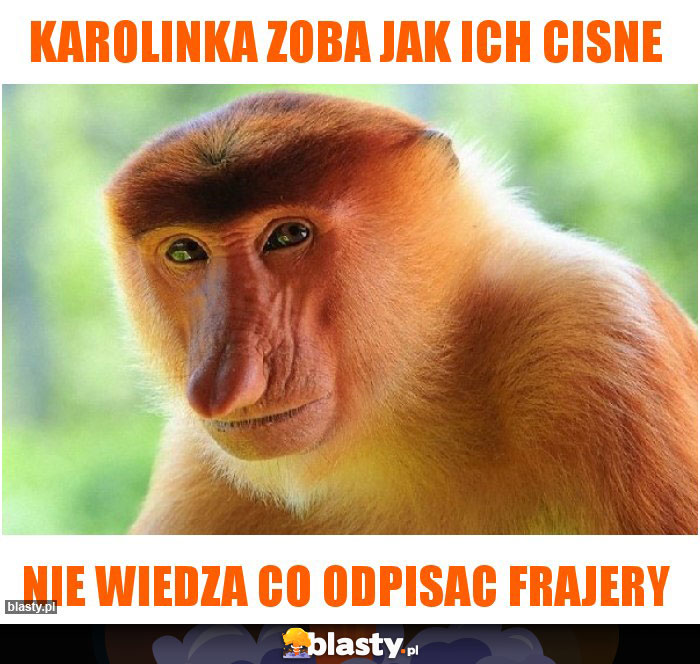 Karolinka zoba jak ich cisne