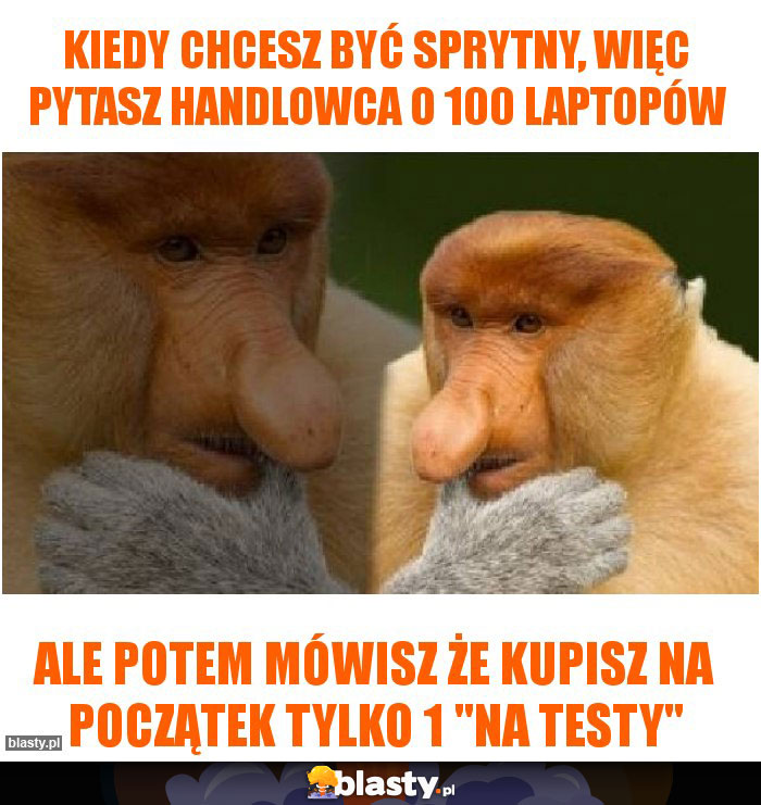 kiedy chcesz być sprytny, więc pytasz handlowca o 100 laptopów