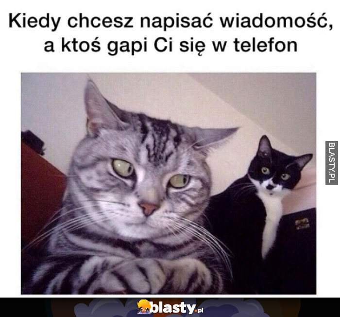 Kiedy chcesz napisać wiadomość a ktoś gapi Ci się w telefon