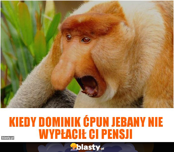 kiedy dominik ćpun jebany nie wypłacił ci pensji