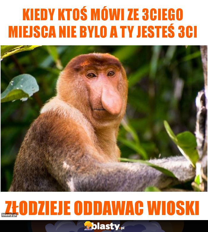 Kiedy ktoś mówi ze 3ciego miejsca nie bylo a ty jesteś 3ci