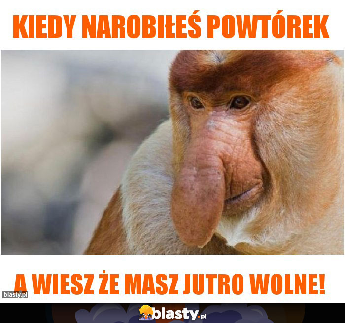 kiedy narobiłeś powtórek