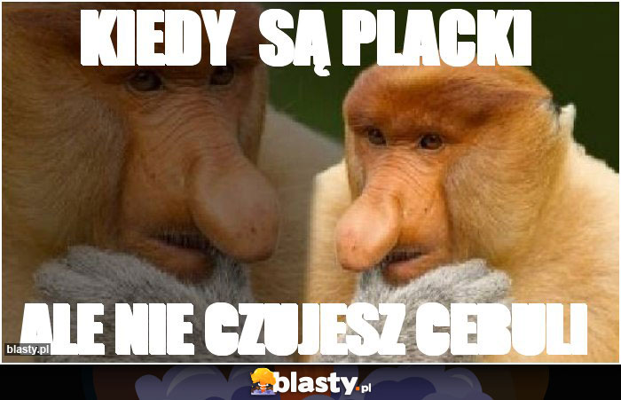 Kiedy  są placki
