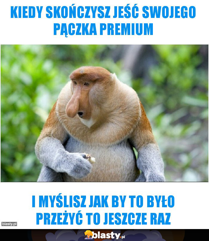 Kiedy skończysz jeść swojego pączka premium