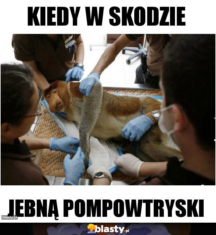 KIEDY W SKODZIE