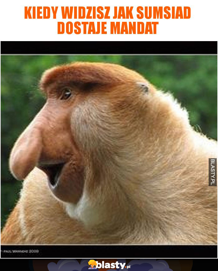 Kiedy widzisz jak sumsiad dostaje mandat