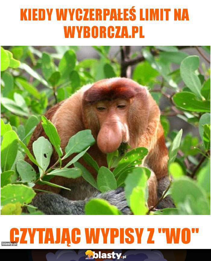 Kiedy wyczerpałeś limit na wyborcza.pl