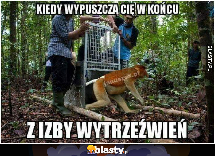 Kiedy wypuszczą Cię w końcu z izby wytrzeźwień