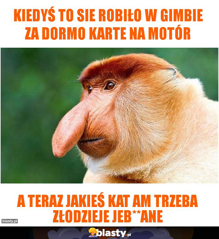 Kiedyś to sie robiło w Gimbie za dormo karte na motór