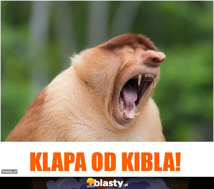 klapa od kibla!