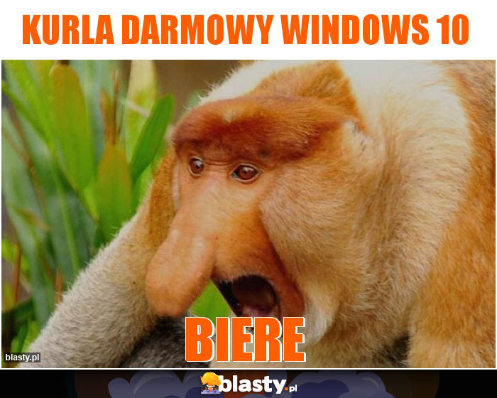 Kurla darmowy windows 10
