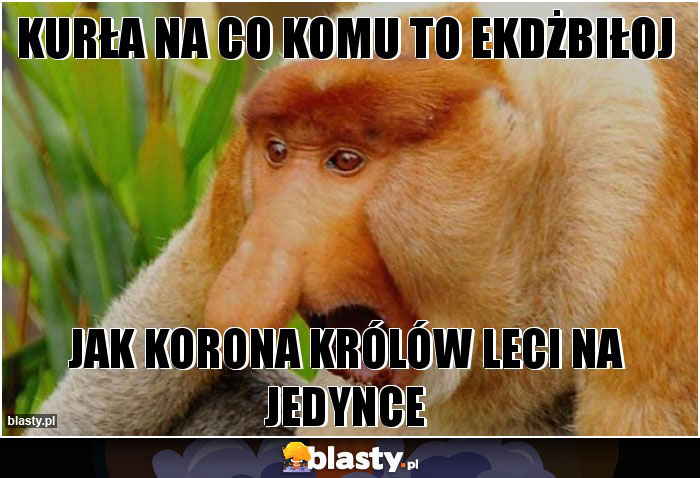 Kurła na co komu to ekdżbiłoj