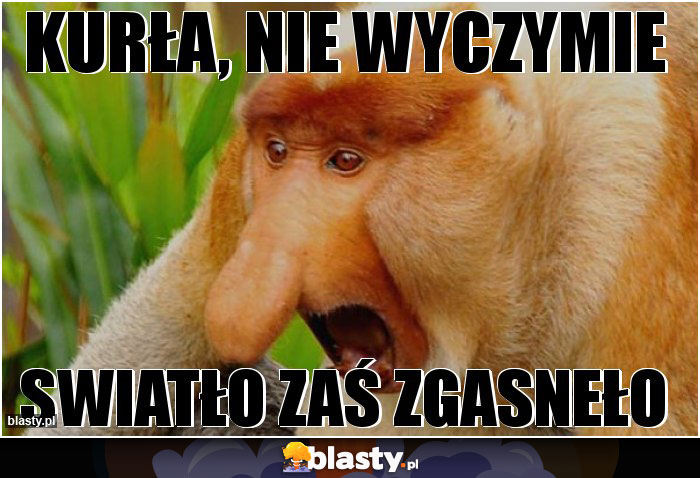 KURŁA, NIE WYCZYMIE