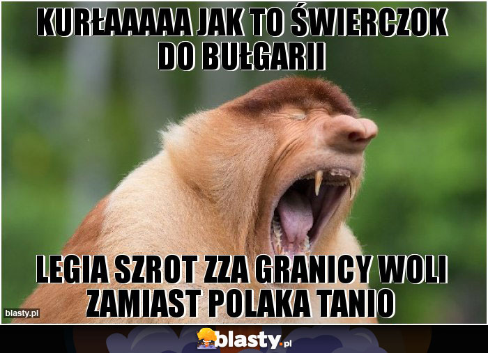Kurłaaaaa jak to świerczok do bułgarii