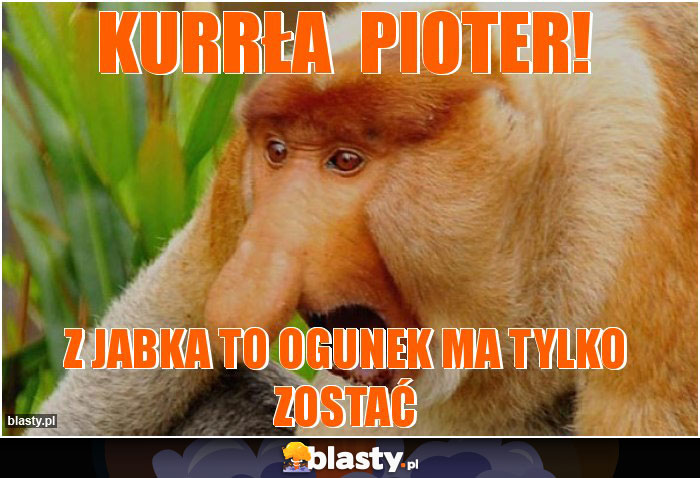 Kurrła  Pioter!