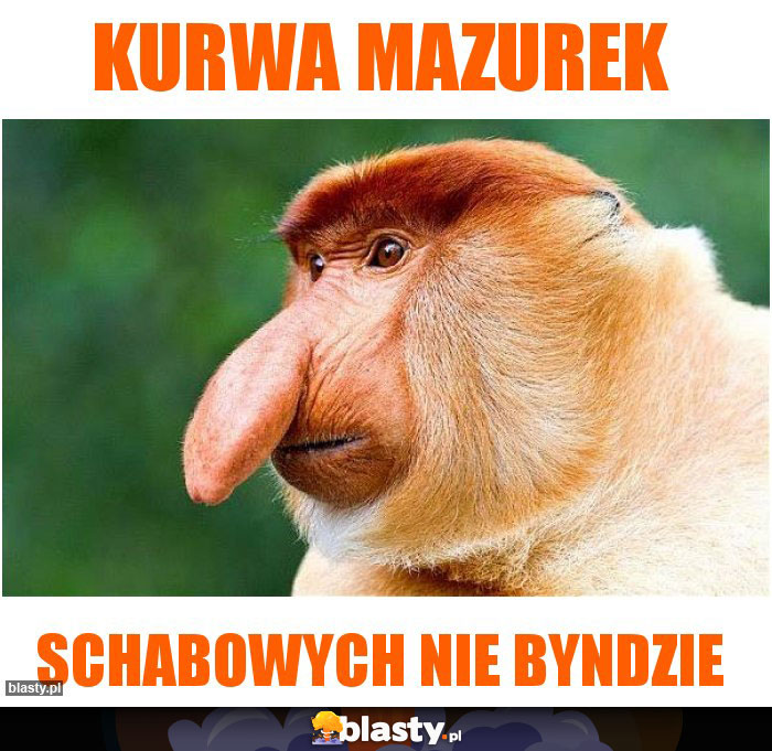 kurwa mazurek