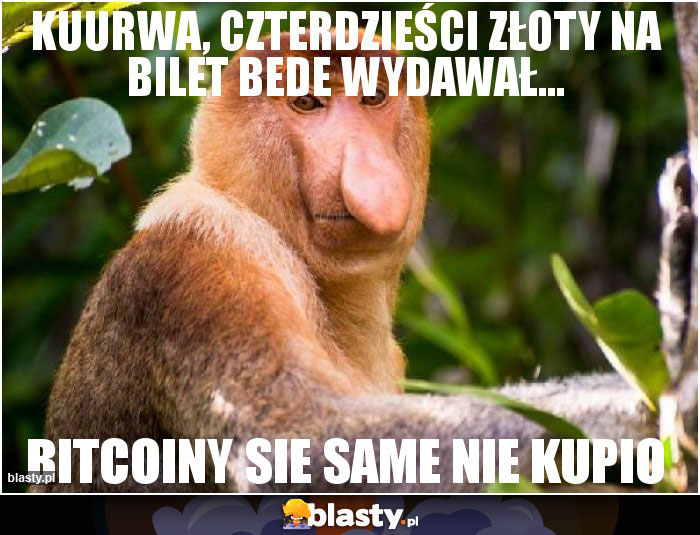 Kuurwa, czterdzieści złoty na bilet bede wydawał...