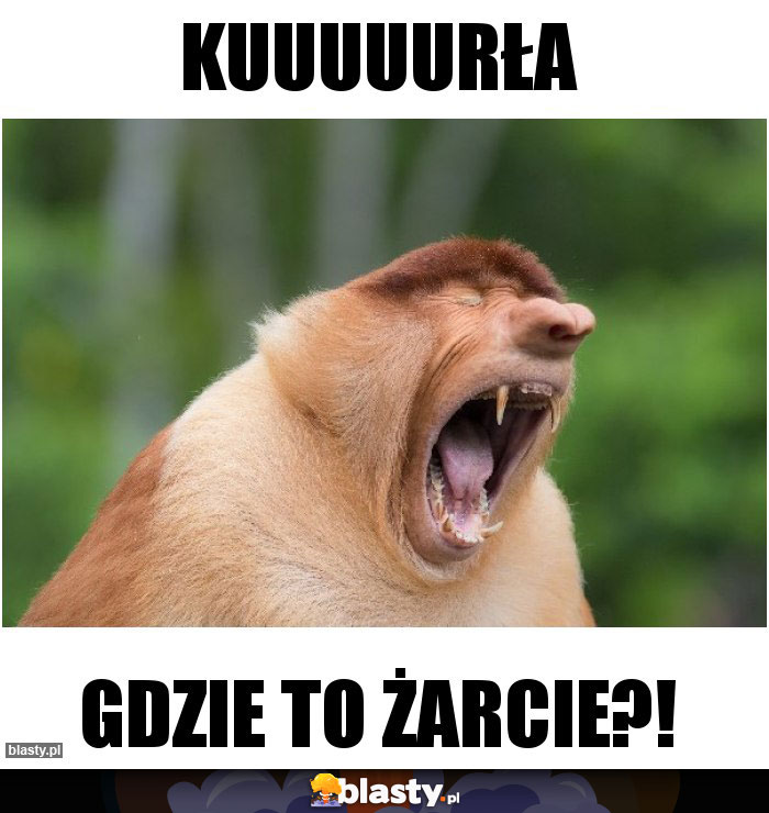 Kuuuuurła