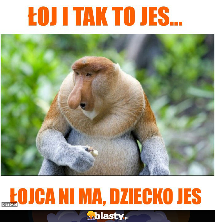 łoj i tak to jes...