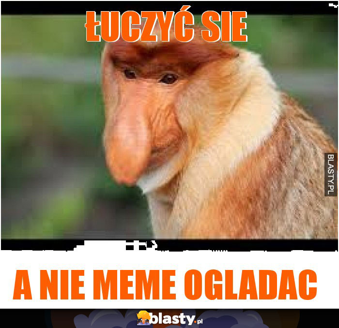 Łuczyć sie