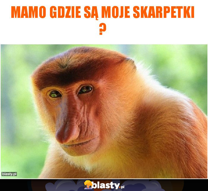 mamo gdzie są moje skarpetki ?