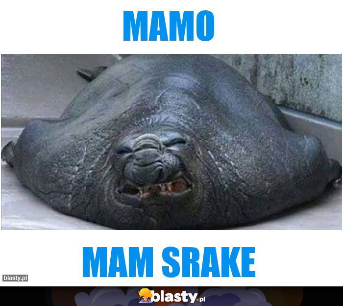 Mamo